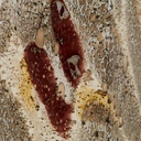 gallery_10.jpg