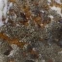 gallery_10.jpg