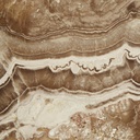 gallery_9.jpg