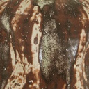 gallery_10.jpg