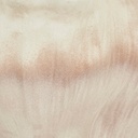 gallery_11.jpg