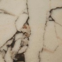 gallery_12.jpg