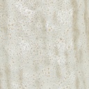 gallery_7.jpg