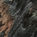 gallery_10.jpg