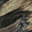 gallery_12.jpg