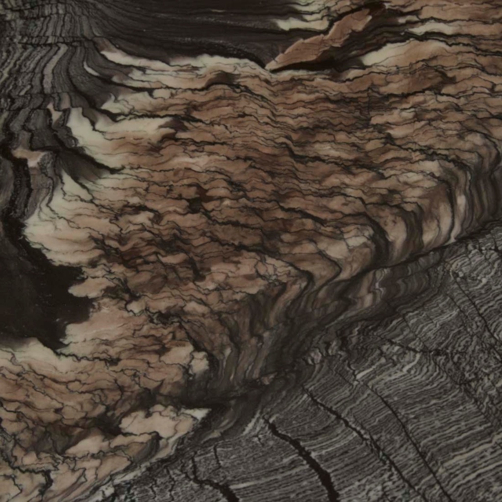 gallery_10.jpg