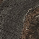 gallery_11.jpg