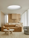 gallery_4.jpg