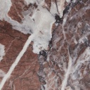 gallery_6.jpg