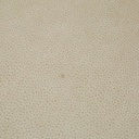 gallery_13.jpg