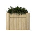 primary.jpg
