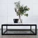 gallery_1.jpg