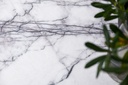 gallery_4.jpg