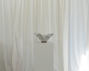 gallery_6.jpg