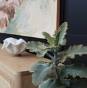 gallery_3.jpg