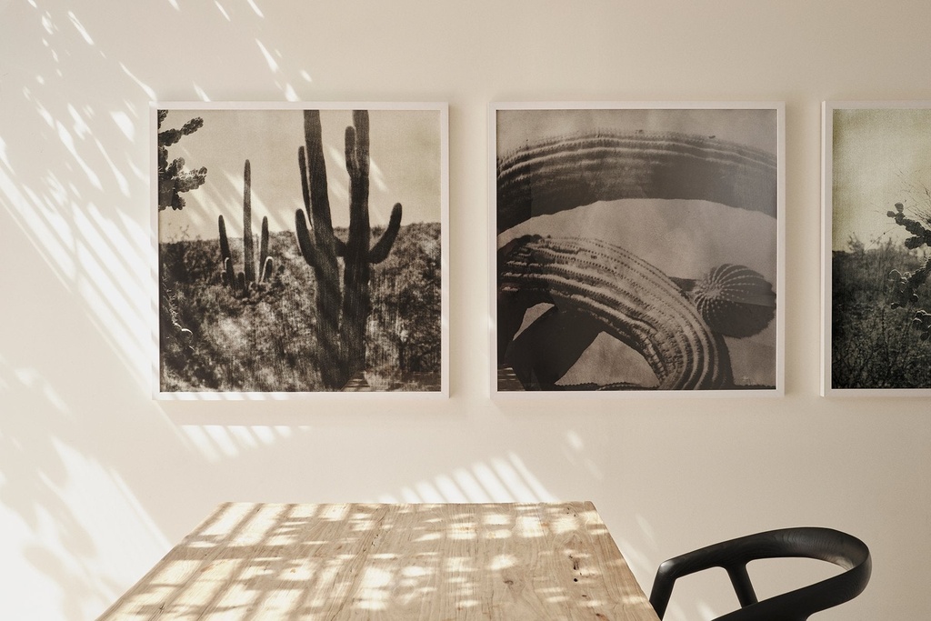 gallery_3.jpg