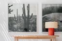 gallery_4.jpg