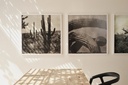 gallery_2.jpg