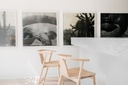 gallery_2.jpg