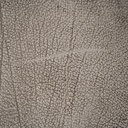 gallery_13.jpg