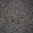 gallery_10.jpg