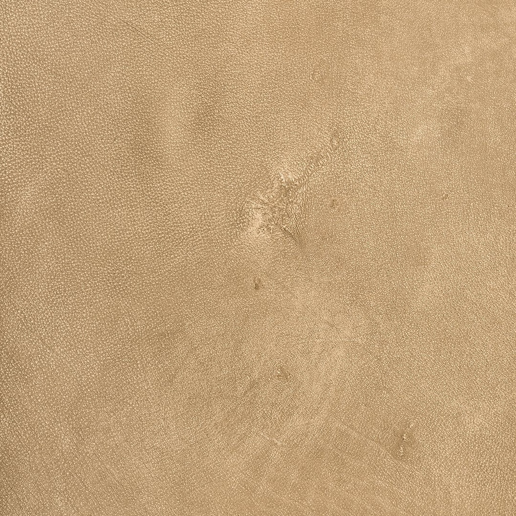 gallery_31.jpg