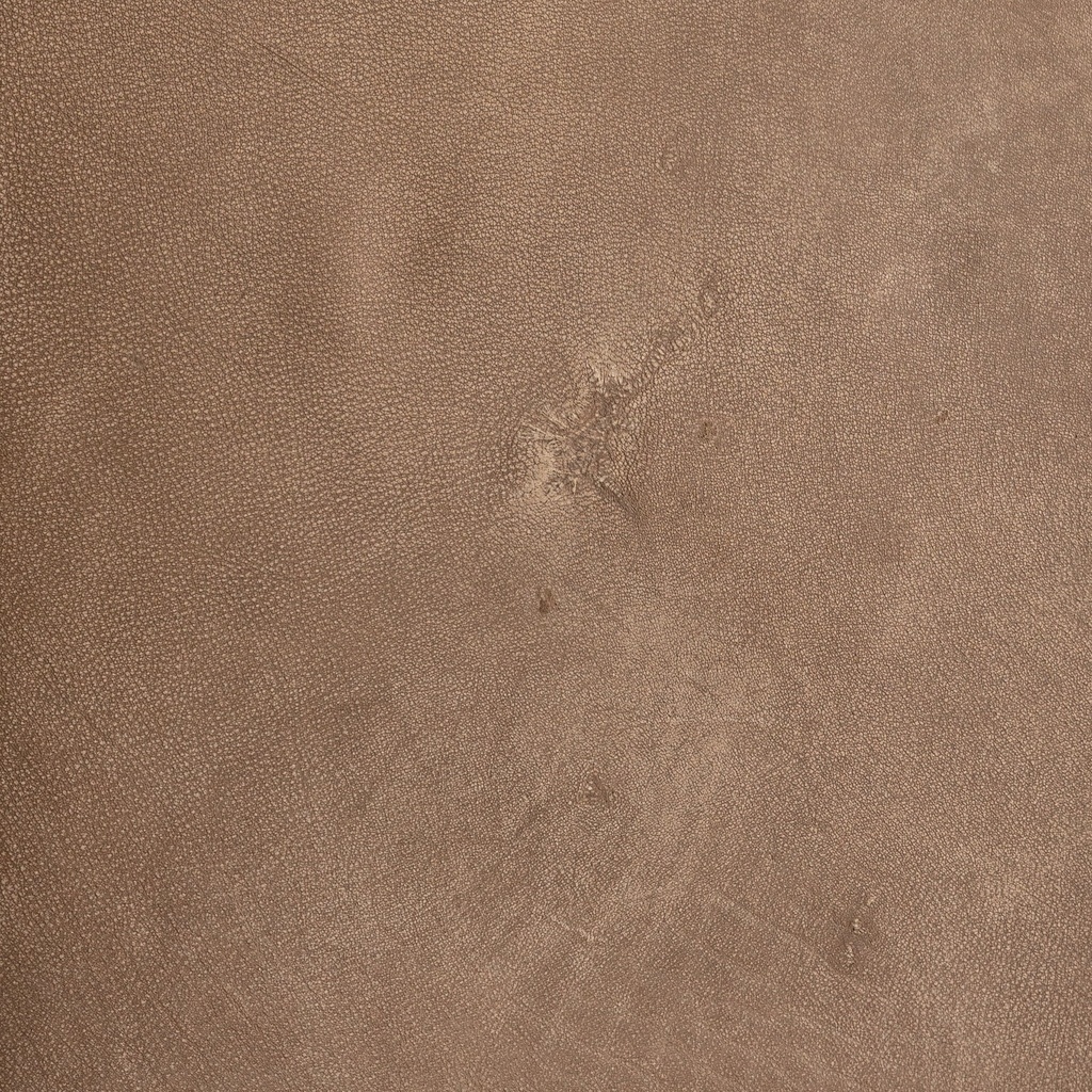 gallery_11.jpg