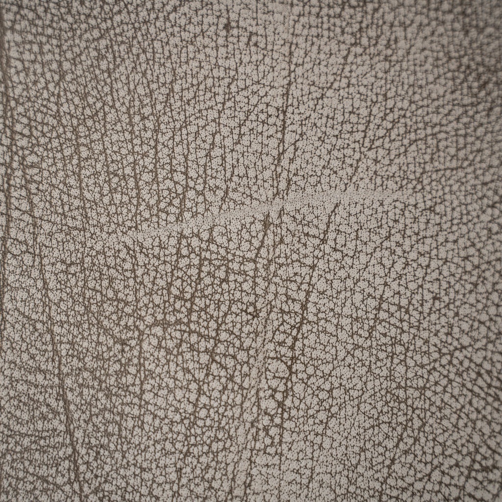 gallery_11.jpg