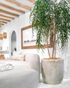 gallery_1.jpg