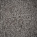 gallery_22.jpg