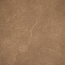 gallery_10.jpg