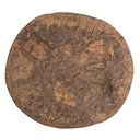 gallery_4.jpg