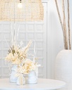 gallery_1.jpg