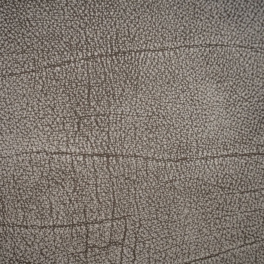 gallery_13.jpg