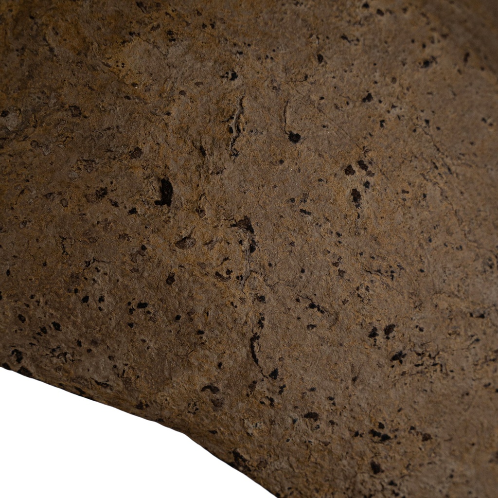 gallery_19.jpg