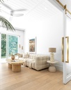 gallery_2.jpg