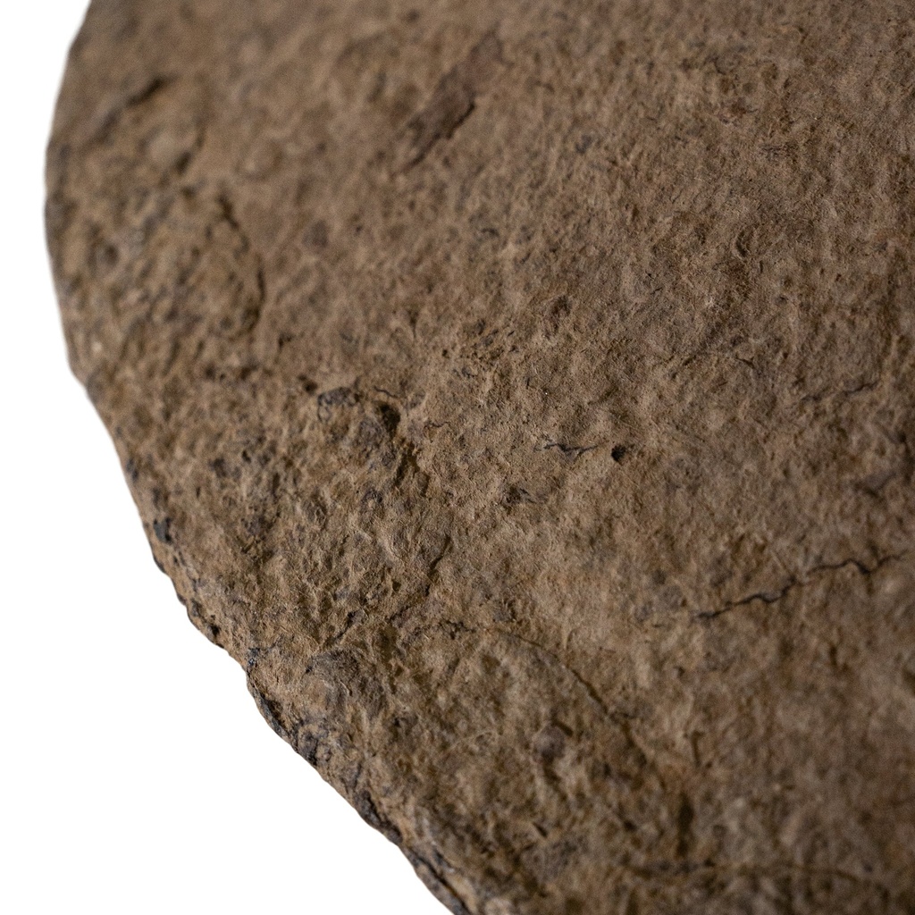 gallery_7.jpg
