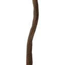 gallery_10.jpg