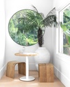 gallery_23.jpg
