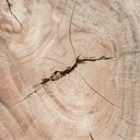 gallery_16.jpg