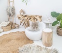 gallery_1.jpg