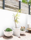 gallery_7.jpg