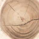 gallery_11.jpg
