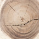 gallery_10.jpg