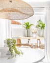 gallery_10.jpg