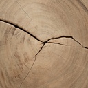 gallery_7.jpg