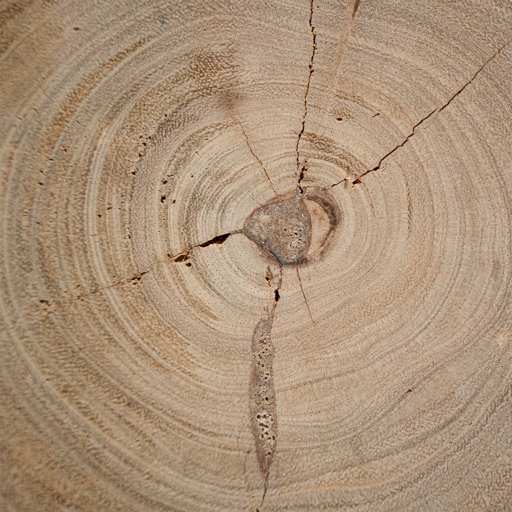 gallery_7.jpg