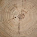 gallery_7.jpg
