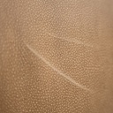 gallery_9.jpg