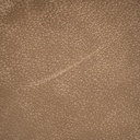 gallery_14.jpg